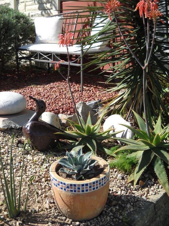 Aestas Bed & Breakfast Knysna Bagian luar foto