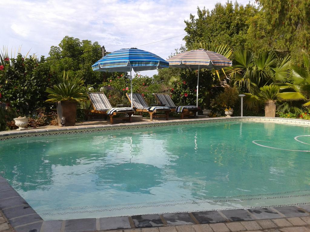 Aestas Bed & Breakfast Knysna Bagian luar foto